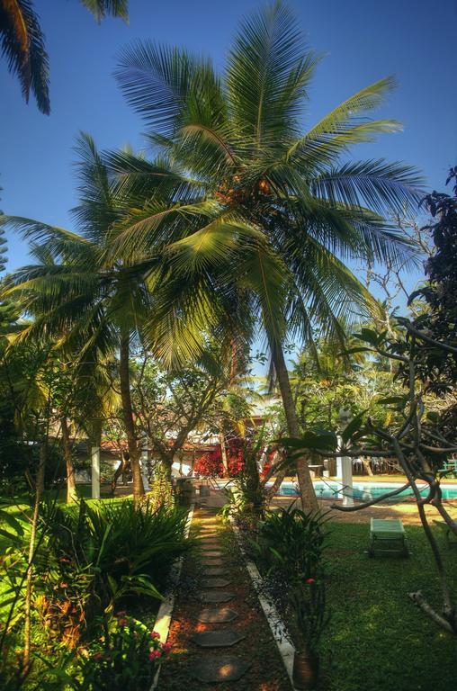Ypsylon Tourist Resort เบอร์อูวาลา ภายนอก รูปภาพ