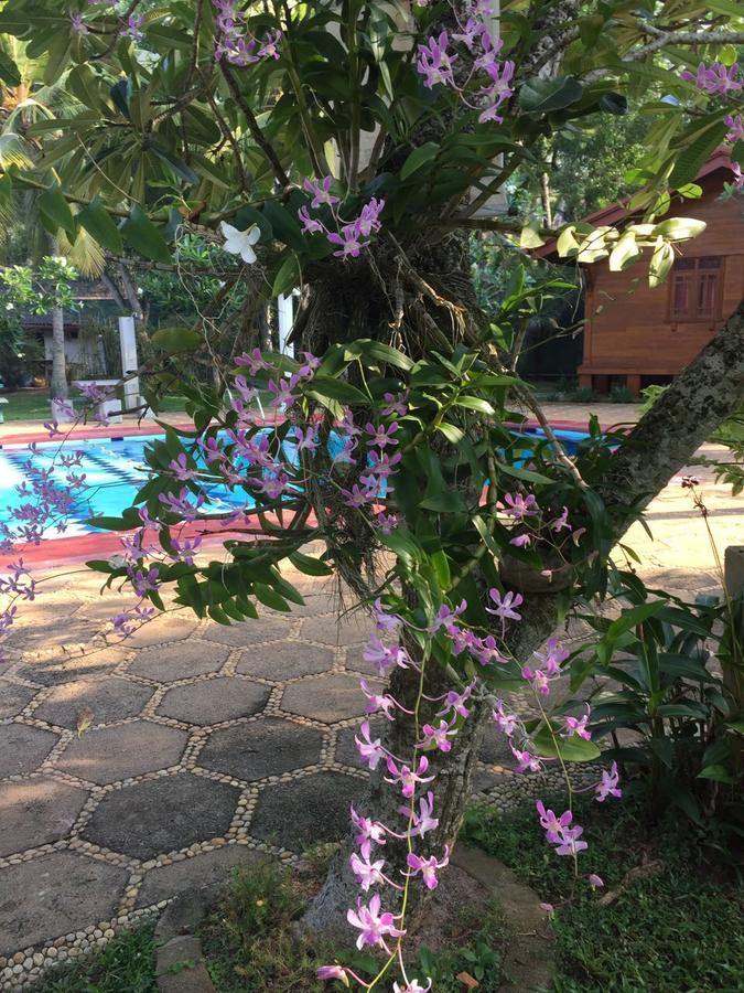 Ypsylon Tourist Resort เบอร์อูวาลา ภายนอก รูปภาพ