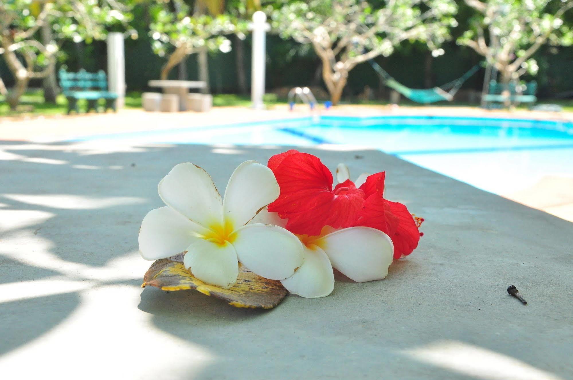 Ypsylon Tourist Resort เบอร์อูวาลา ภายนอก รูปภาพ